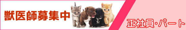 獣医師募集